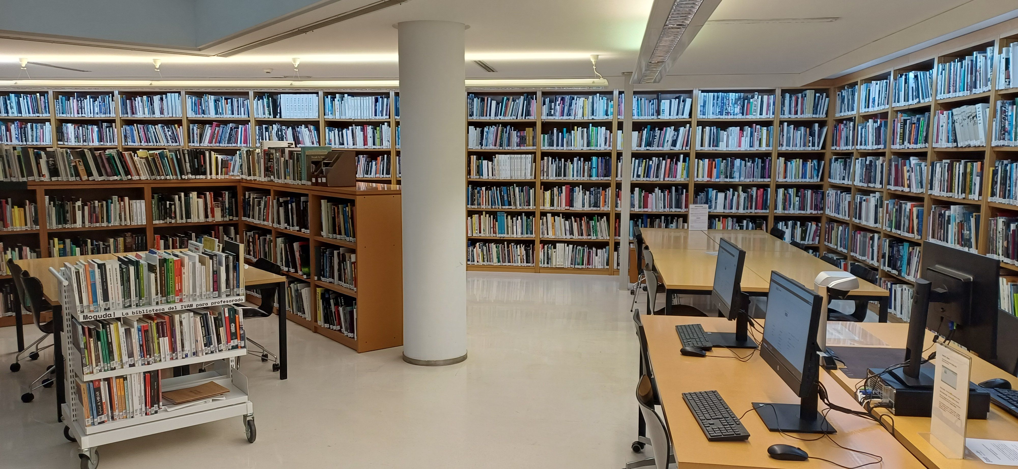 IVAM Biblioteca