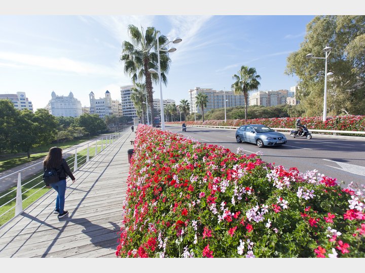 Puente de las flores.