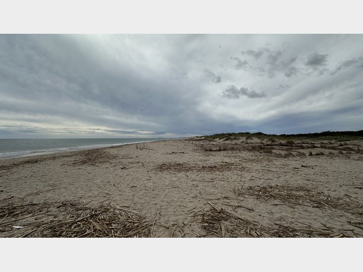 Google Drive Photo