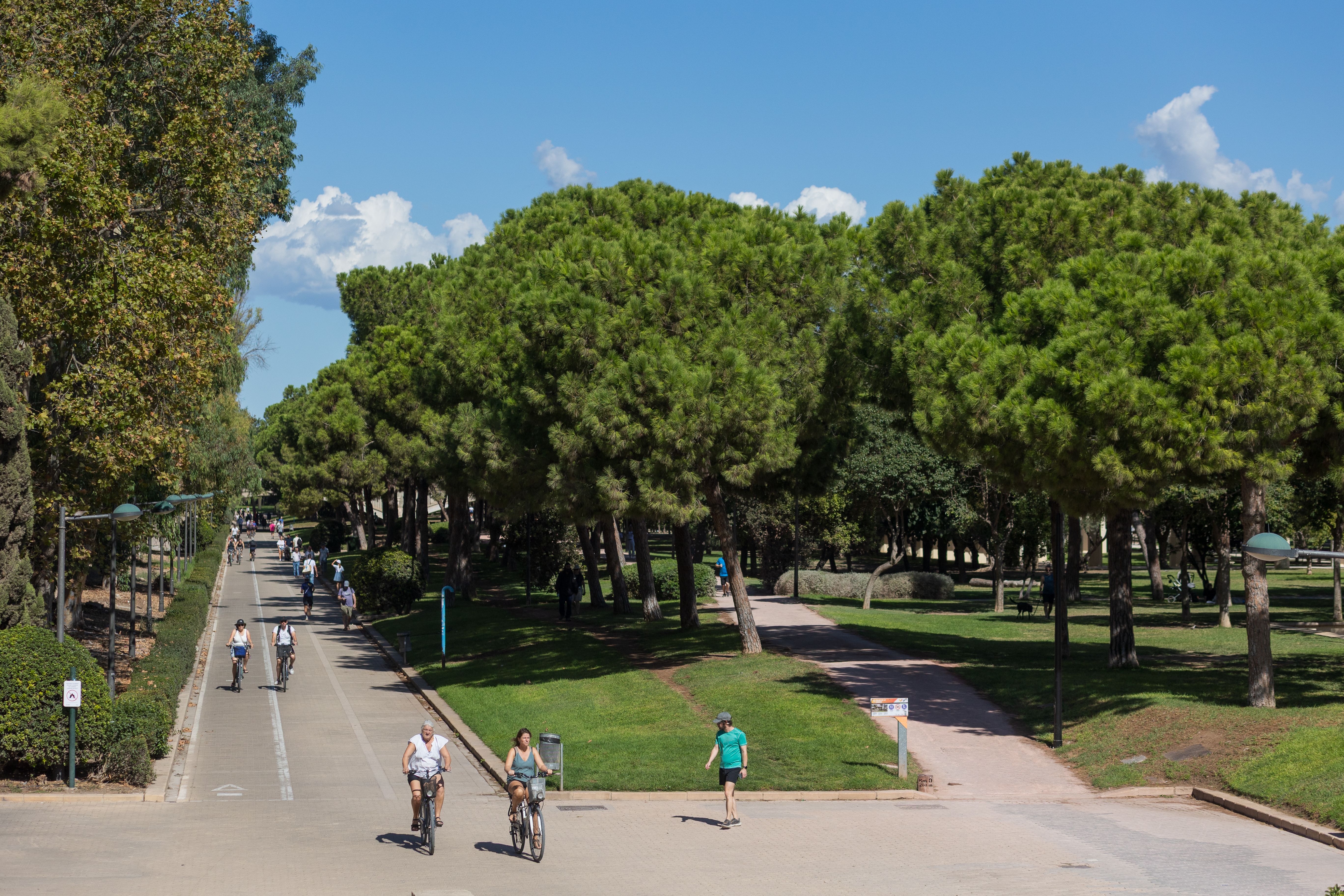 JARDINES DEL TURIA