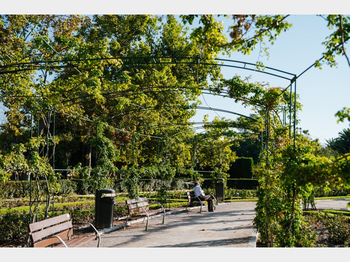 JARDINES DEL REAL/VIVEROS