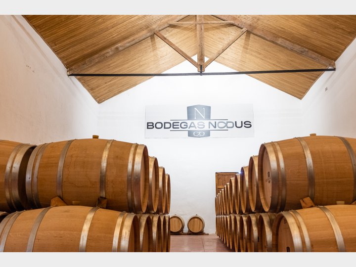 Bodegas Nodus