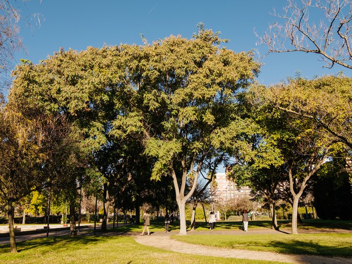 JARDÍN DE POLÍFILO. CAMPANAR