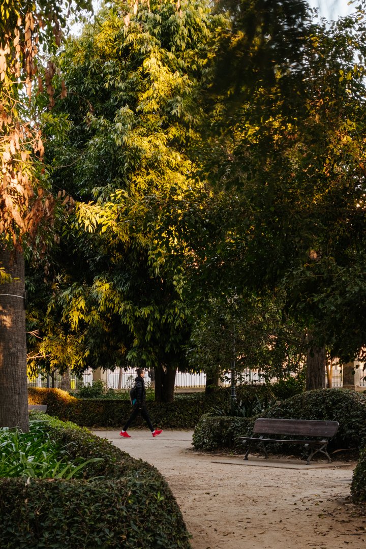 JARDÍN DE AYORA