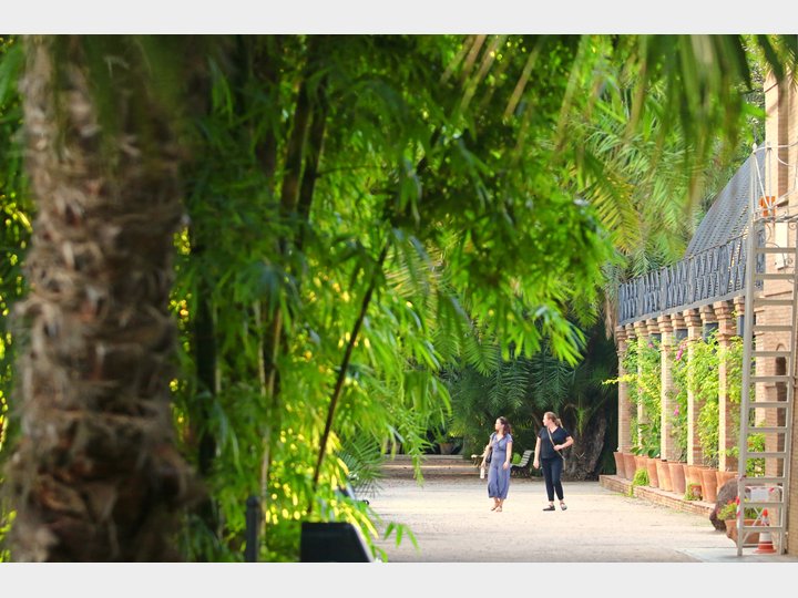 JARDÍN BOTÁNICO