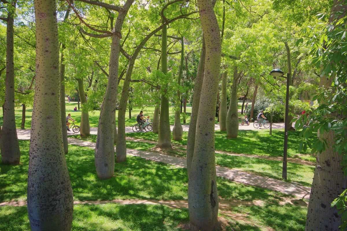 JARDINES DEL TURIA