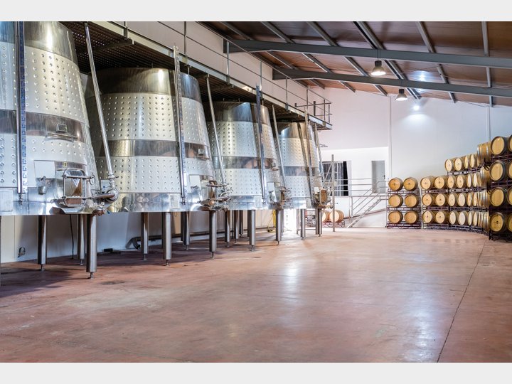 Bodegas Nodus