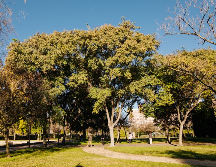 JARDÍN DE POLÍFILO. CAMPANAR