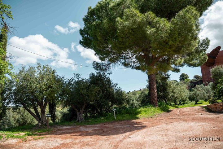 LA ALMAZARA - FINCA RURAL