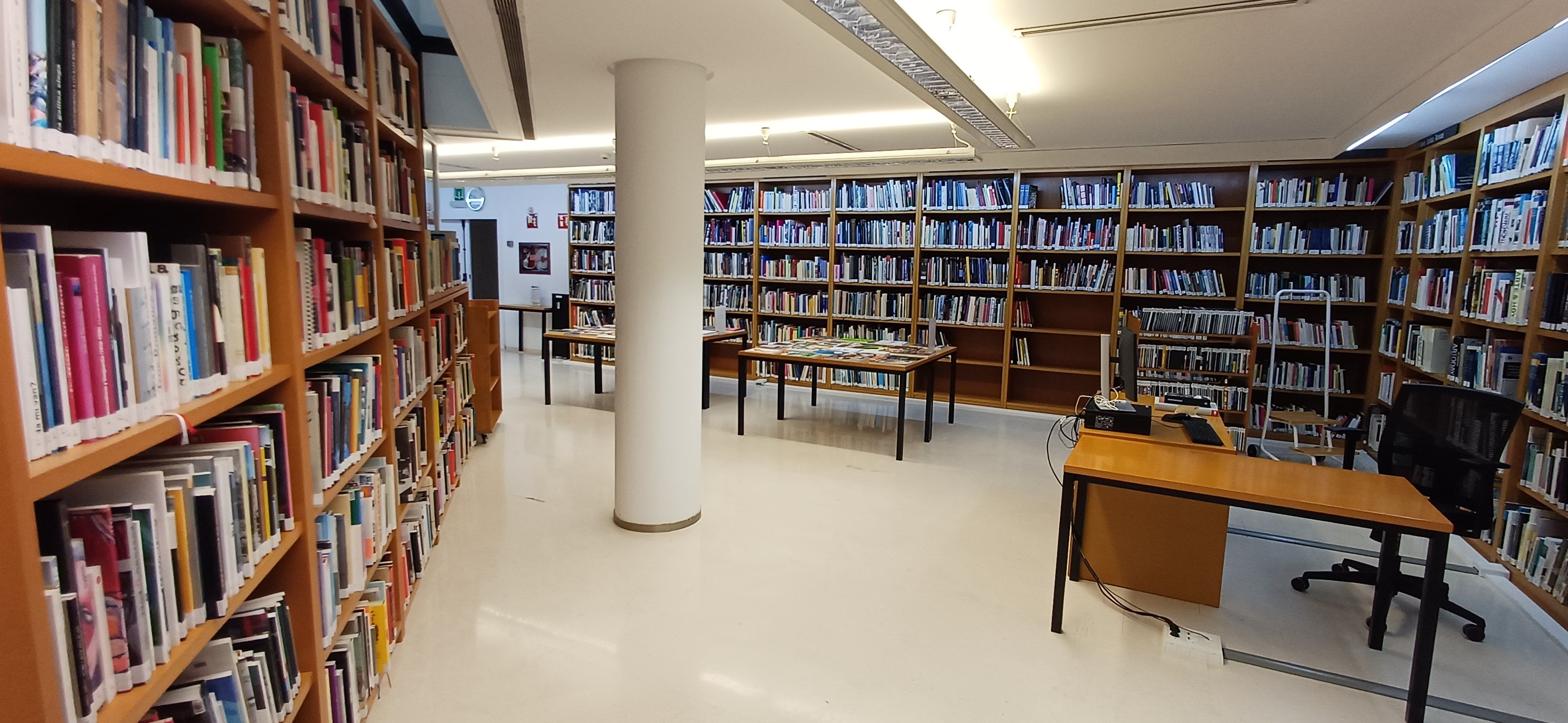 IVAM Biblioteca