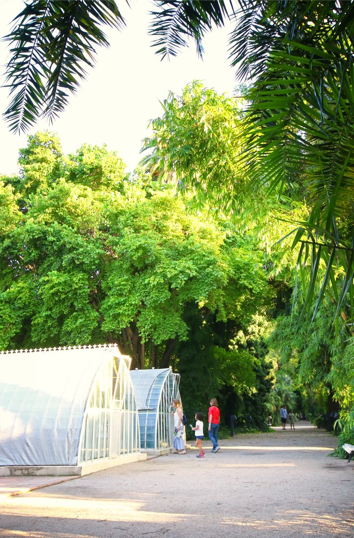 JARDÍN BOTÁNICO
