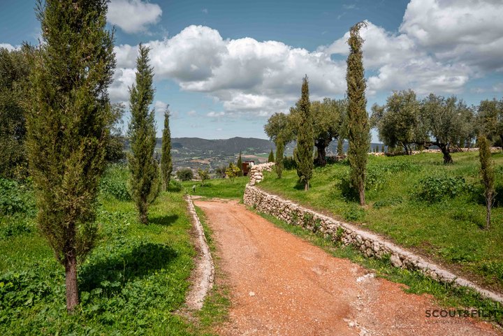 LA ALMAZARA - GREENHOUSE Y PARKING