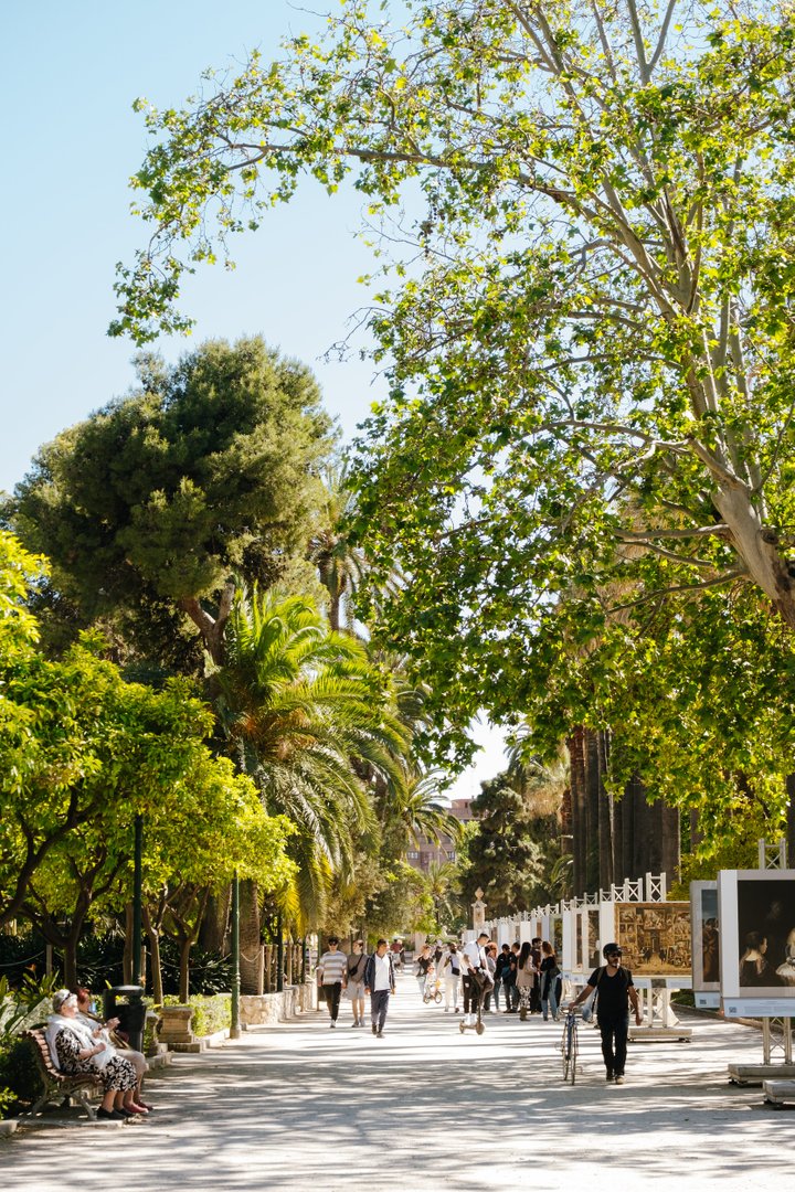 JARDINES DEL REAL/VIVEROS