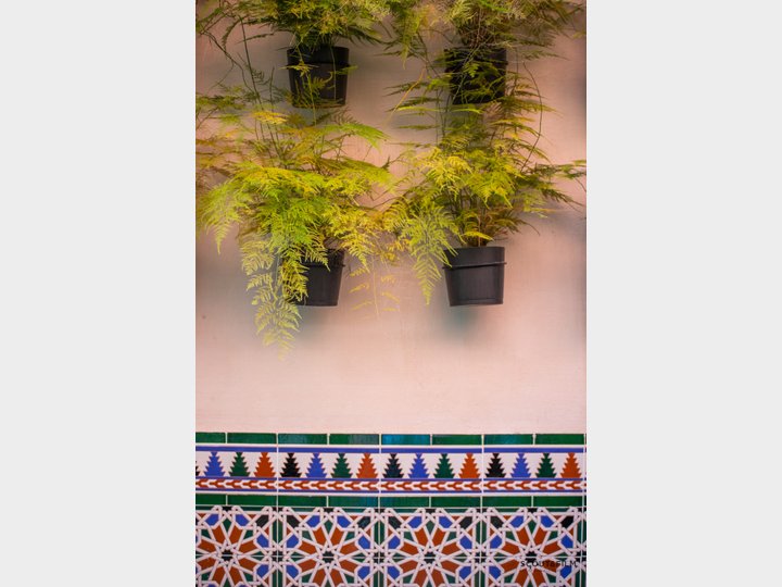 RESTAURANTE EL PATIO DEL PALI - SEVILLA