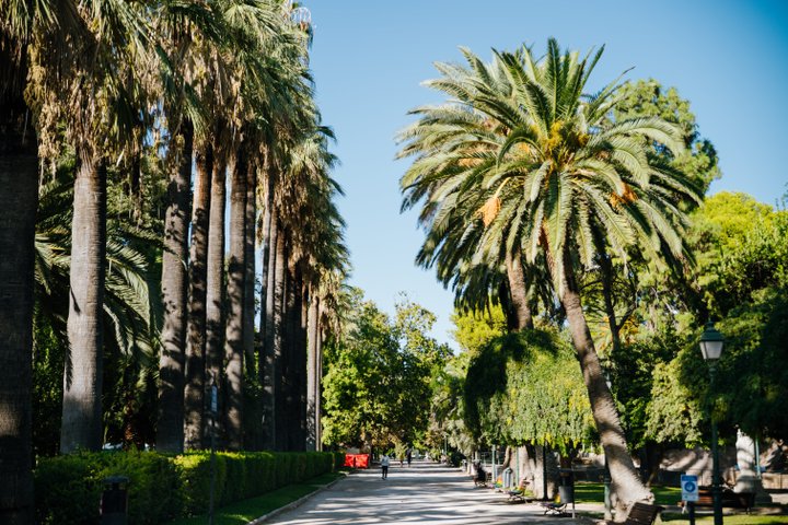 JARDINES DEL REAL/VIVEROS