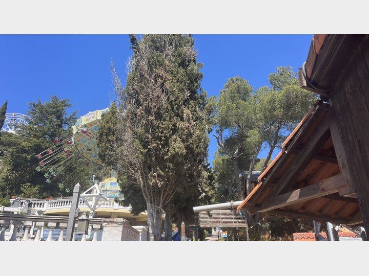 Google Drive Photo