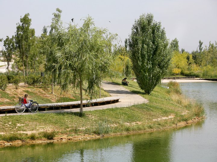 PARQUE DE CABECERA
