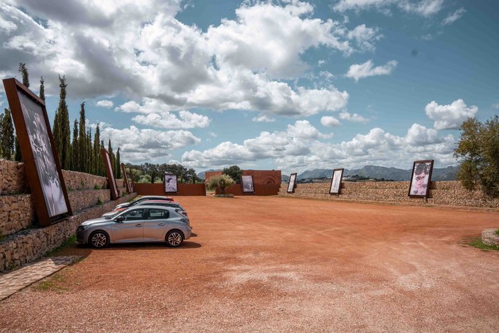 LA ALMAZARA - GREENHOUSE Y PARKING
