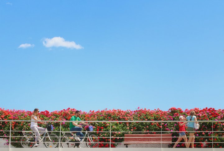 Puente de las flores.