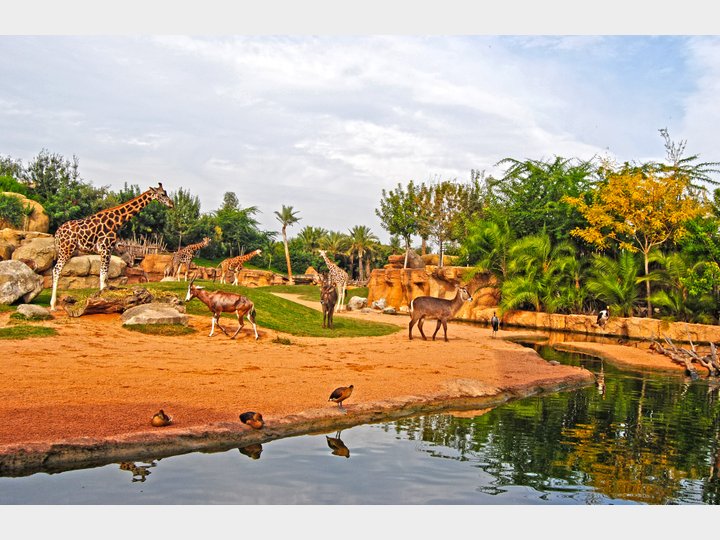 BIOPARC