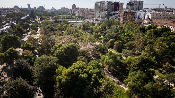 JARDINES DEL TURIA