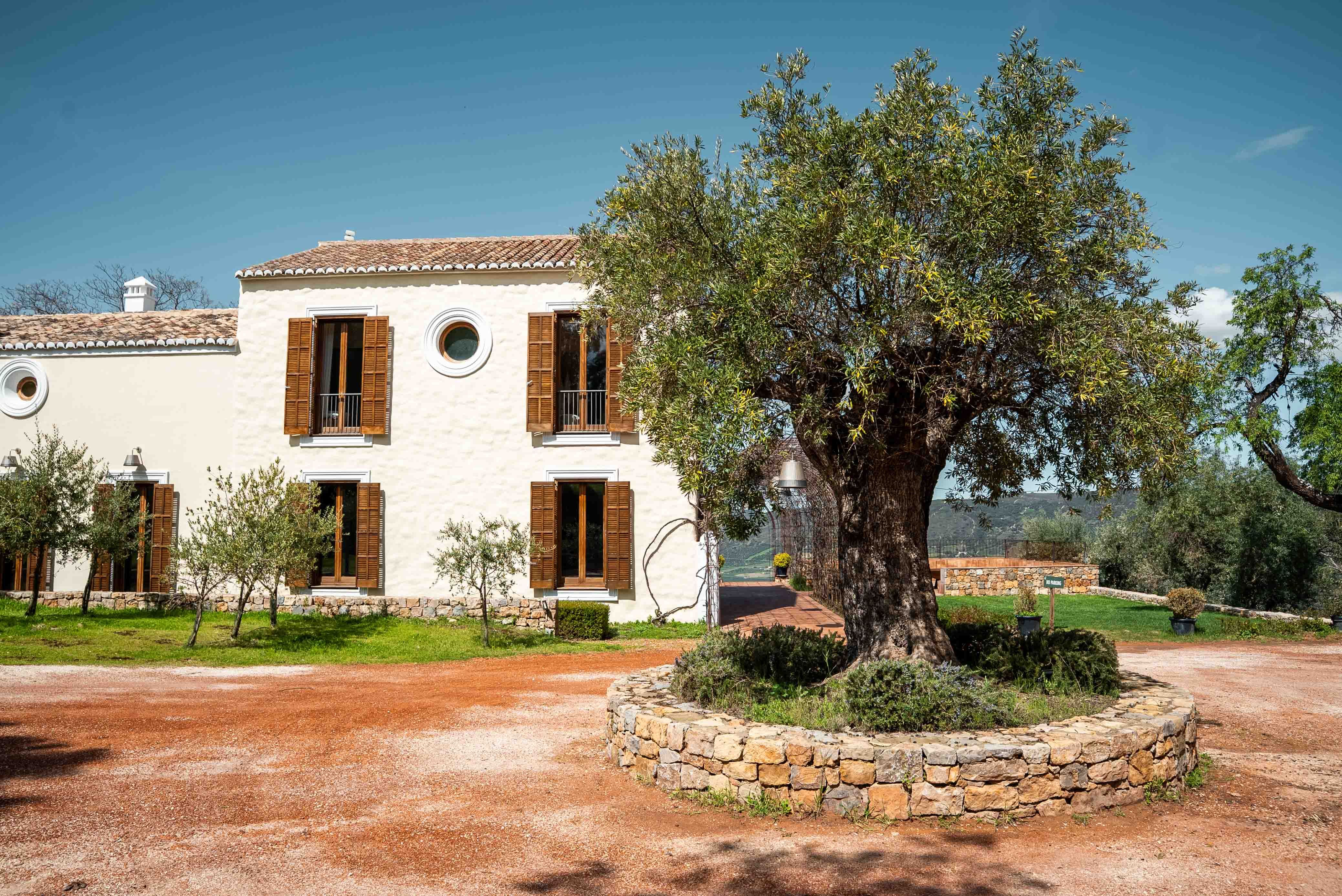 LA ALMAZARA - FINCA RURAL