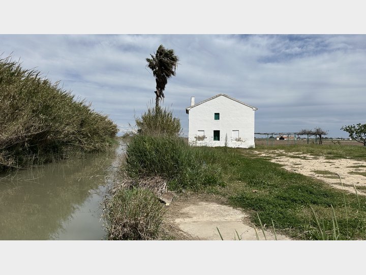 Google Drive Photo