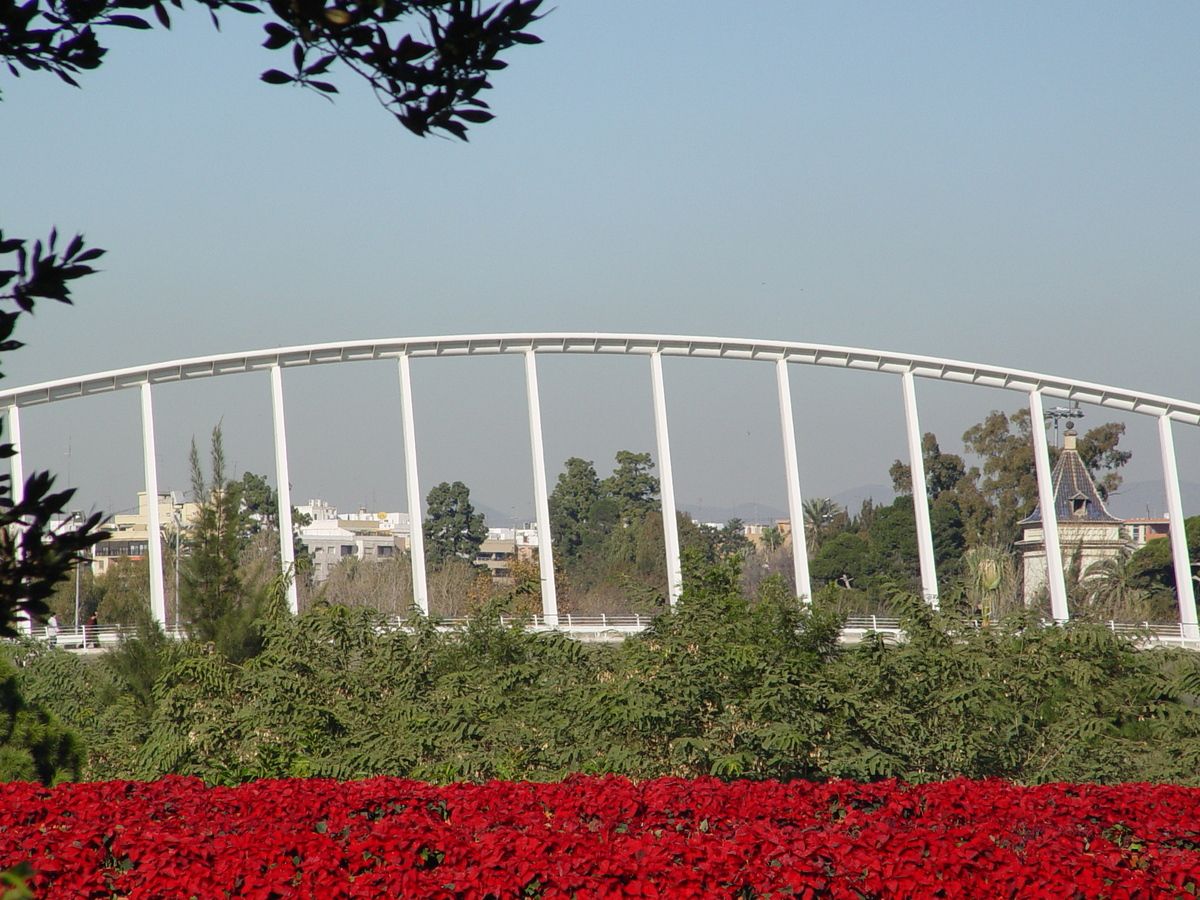 Puente de las flores.