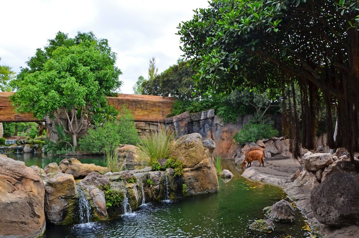 BIOPARC