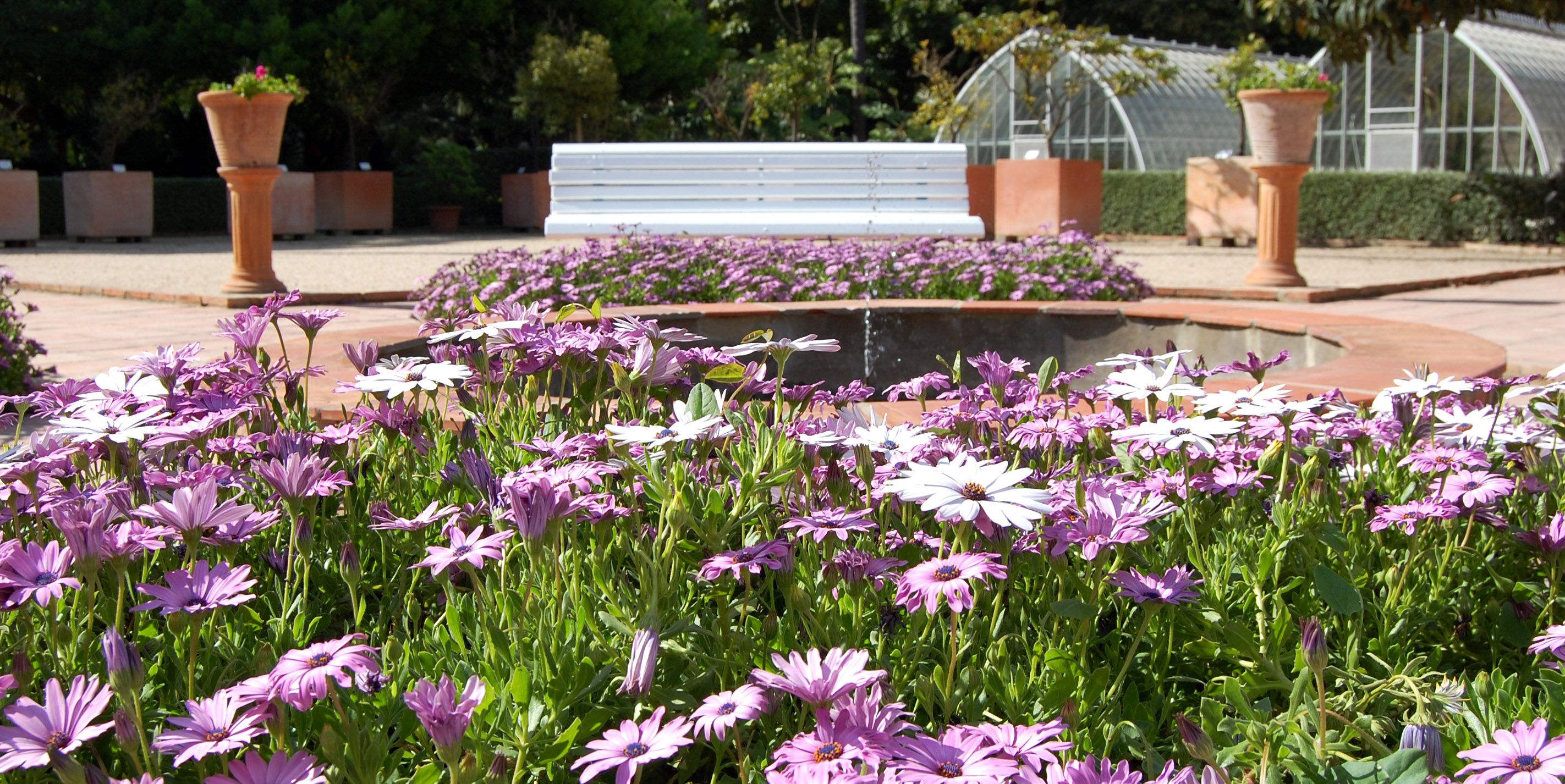 JARDÍN BOTÁNICO