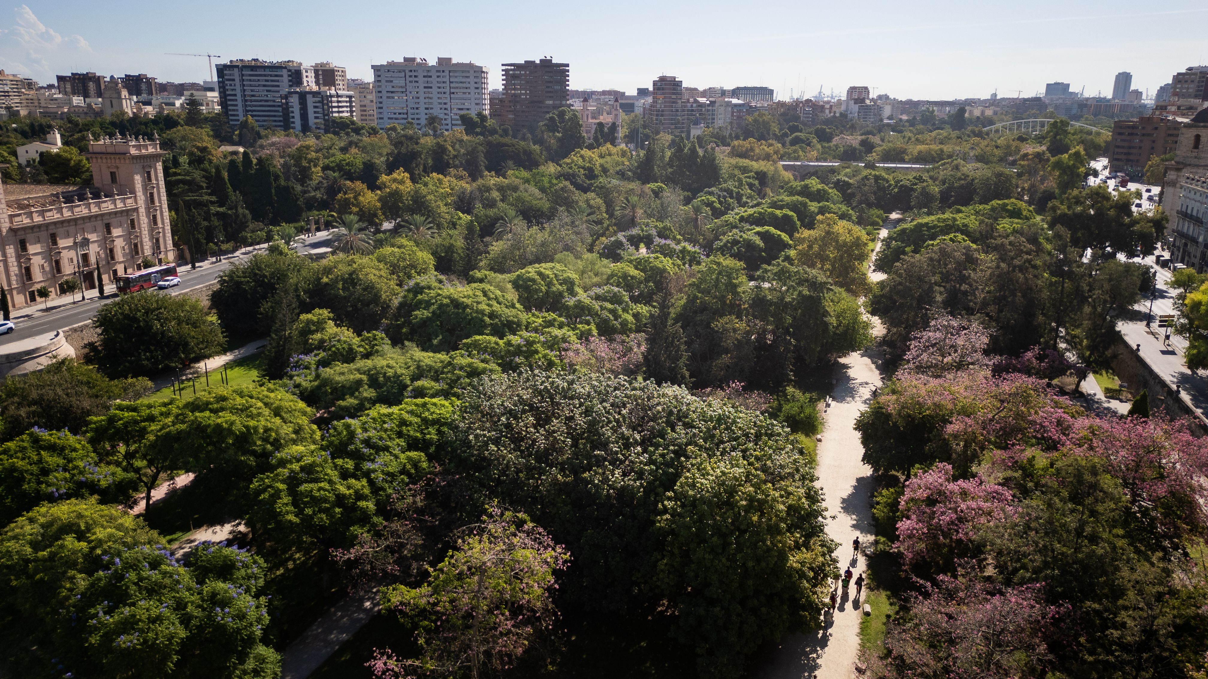 JARDINES DEL TURIA