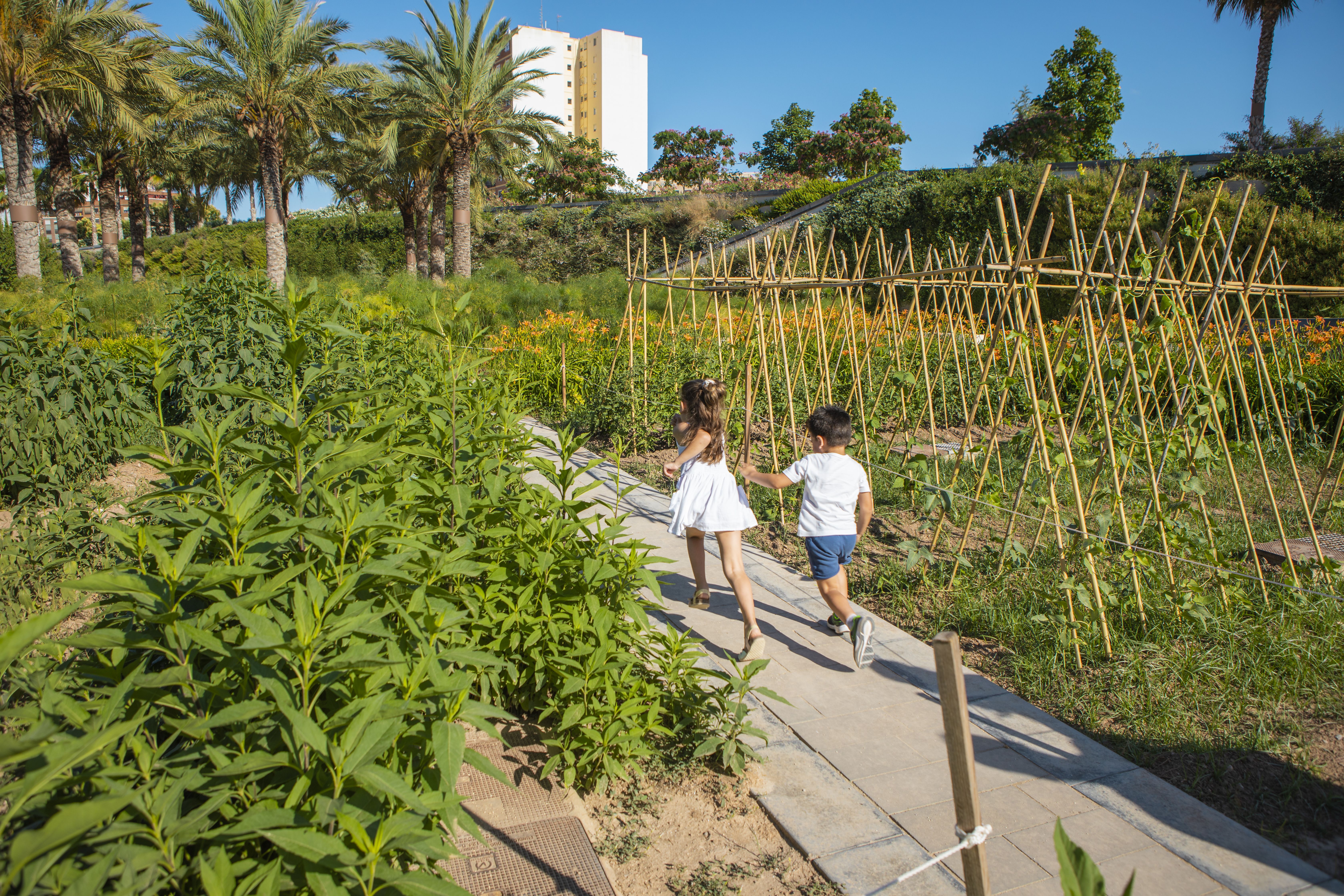 PARQUE CENTRAL.