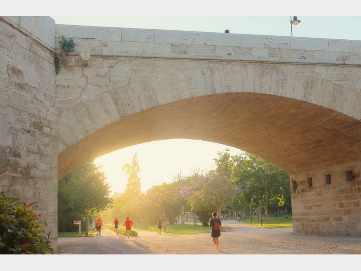 JARDINES DEL TURIA