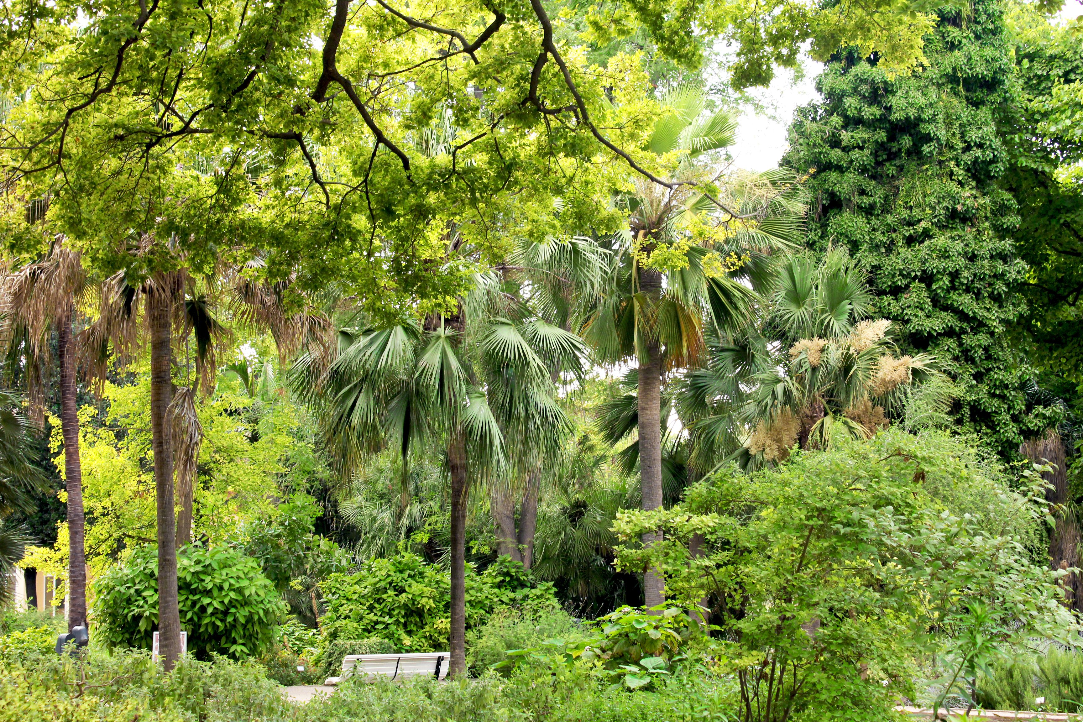 JARDÍN BOTÁNICO
