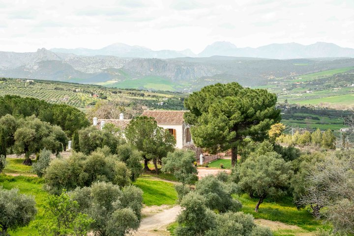 LA ALMAZARA - FINCA RURAL
