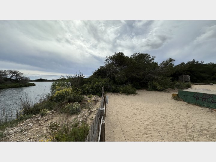 Google Drive Photo