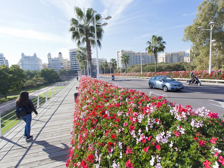 Puente de las flores.