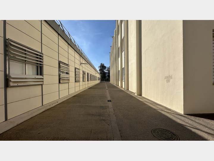 Google Drive Photo
