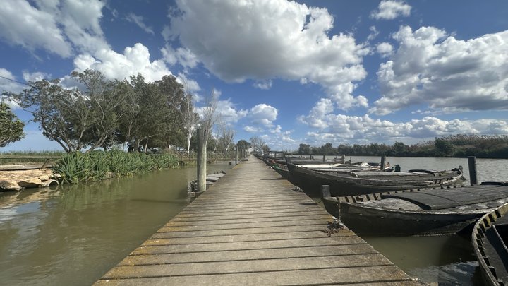 Google Drive Photo
