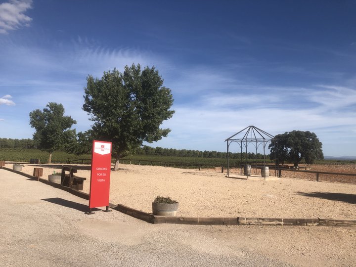 Bodegas Nodus